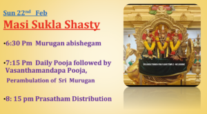 Screenshot 2026-01-31 at 1.11.08 pm